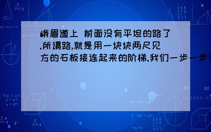 峨眉道上 前面没有平坦的路了.所谓路,就是用一块块两尺见方的石板接连起来的阶梯.我们一步一步向上爬,非常吃力.停步仰望,