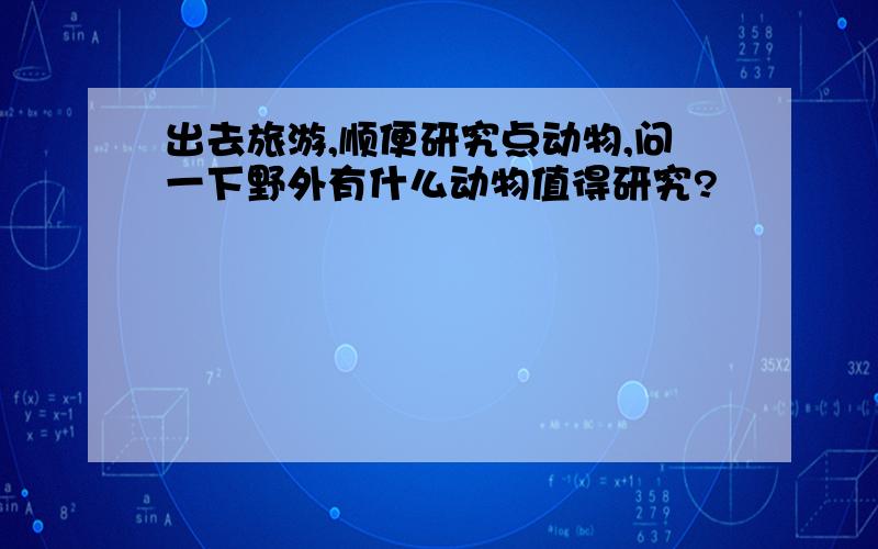 出去旅游,顺便研究点动物,问一下野外有什么动物值得研究?