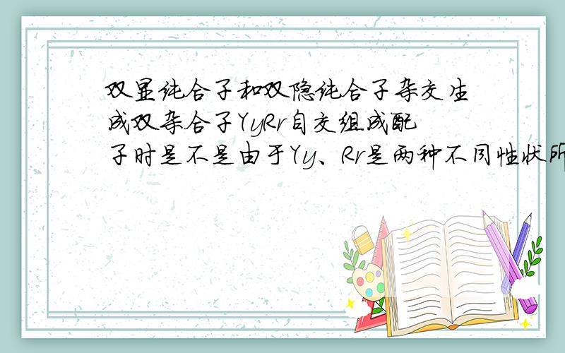 双显纯合子和双隐纯合子杂交生成双杂合子YyRr自交组成配子时是不是由于Yy、Rr是两种不同性状所以会先尊从分离定律分为Y