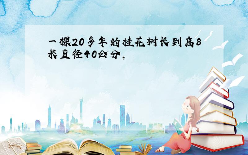 一棵20多年的桂花树长到高8米直径40公分,