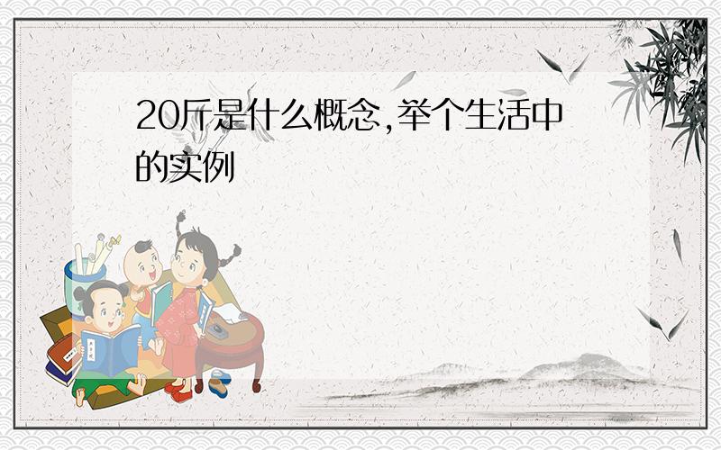 20斤是什么概念,举个生活中的实例