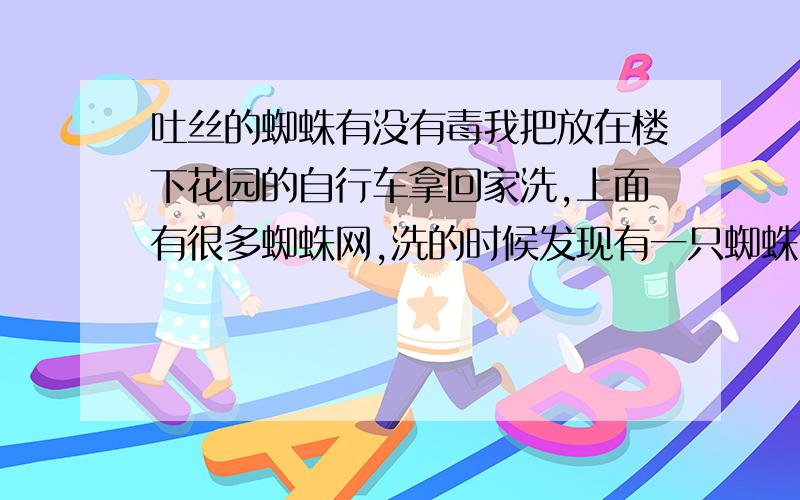 吐丝的蜘蛛有没有毒我把放在楼下花园的自行车拿回家洗,上面有很多蜘蛛网,洗的时候发现有一只蜘蛛也没有打死,会吐丝,也不知道