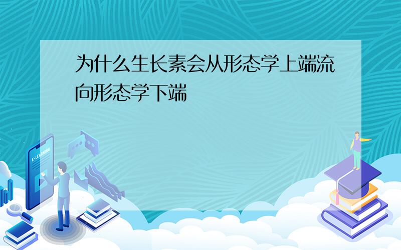 为什么生长素会从形态学上端流向形态学下端