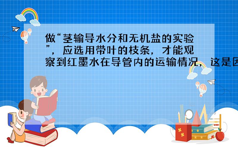 做“茎输导水分和无机盐的实验”，应选用带叶的枝条，才能观察到红墨水在导管内的运输情况，这是因为（　　）