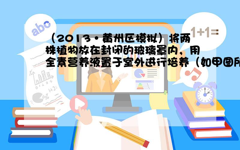 （2013•黄州区模拟）将两株植物放在封闭的玻璃罩内，用全素营养液置于室外进行培养（如甲图所示），假定玻璃罩内植物的生理