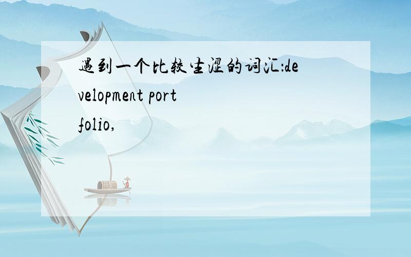 遇到一个比较生涩的词汇：development portfolio,