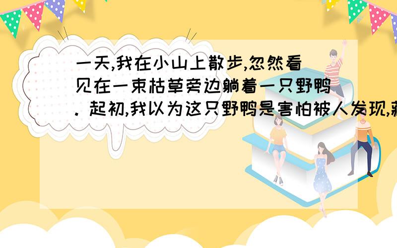 一天,我在小山上散步,忽然看见在一束枯草旁边躺着一只野鸭. 起初,我以为这只野鸭是害怕被人发现,藏在