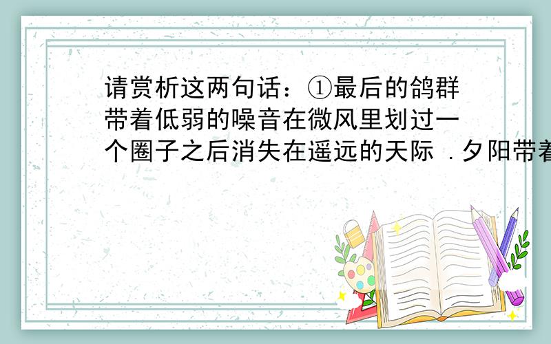 请赏析这两句话：①最后的鸽群带着低弱的噪音在微风里划过一个圈子之后消失在遥远的天际 .夕阳带着对大地的一丝留恋披着一条红