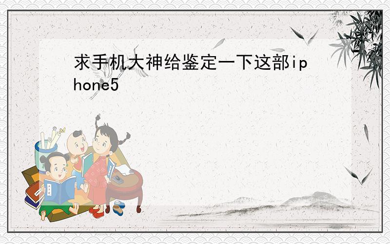 求手机大神给鉴定一下这部iphone5