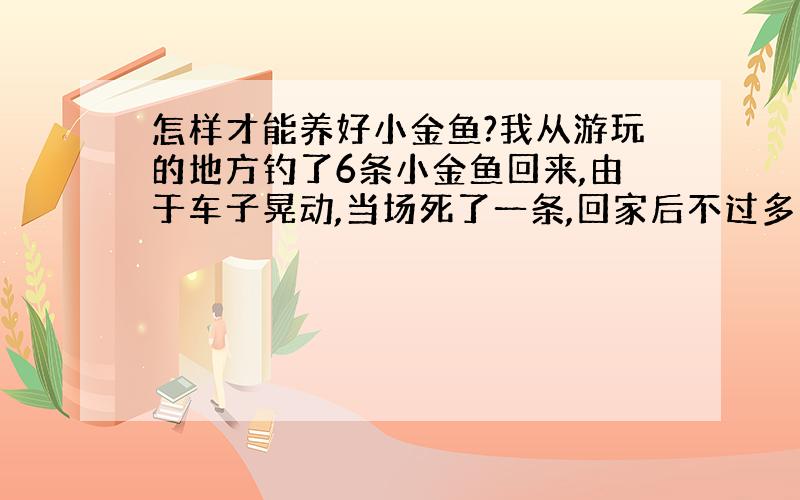 怎样才能养好小金鱼?我从游玩的地方钓了6条小金鱼回来,由于车子晃动,当场死了一条,回家后不过多久又死了一条.过了一会儿又