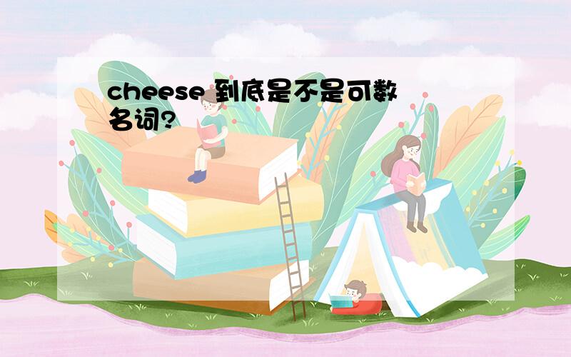 cheese 到底是不是可数名词?