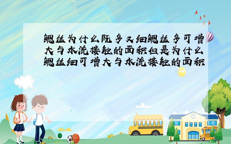 鳃丝为什么既多又细鳃丝多可增大与水流接触的面积但是为什么鳃丝细可增大与水流接触的面积