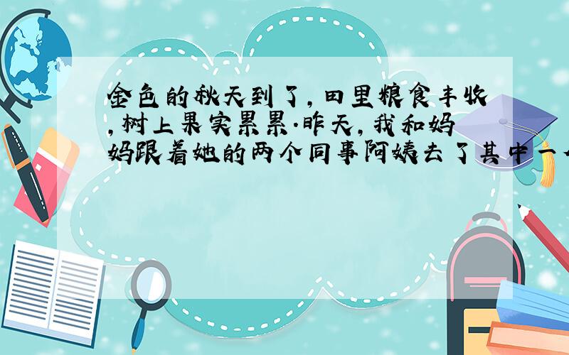 金色的秋天到了,田里粮食丰收,树上果实累累.昨天,我和妈妈跟着她的两个同事阿姨去了其中一位曹姨的老家,去帮助他们收花生和