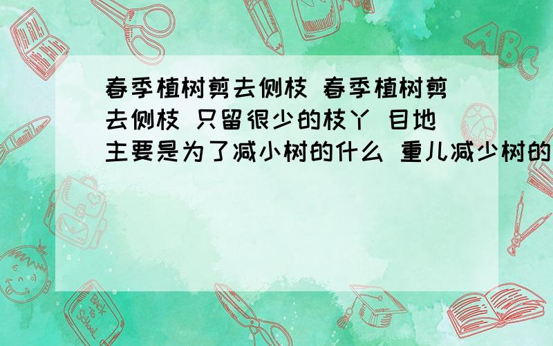 春季植树剪去侧枝 春季植树剪去侧枝 只留很少的枝丫 目地主要是为了减小树的什么 重儿减少树的水分的什么 提高陈货率