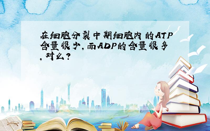 在细胞分裂中期细胞内的ATP含量很少,而ADP的含量很多,对么?