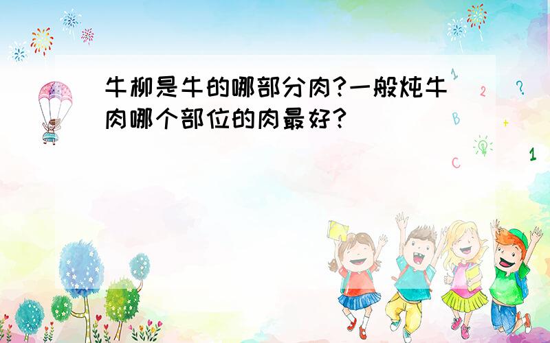 牛柳是牛的哪部分肉?一般炖牛肉哪个部位的肉最好?