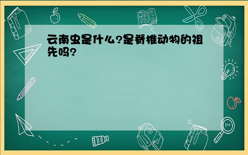 云南虫是什么?是脊椎动物的祖先吗?