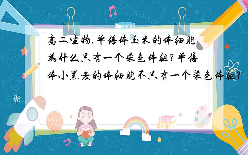 高二生物.单倍体玉米的体细胞为什么只有一个染色体组?单倍体小黑麦的体细胞不只有一个染色体组?