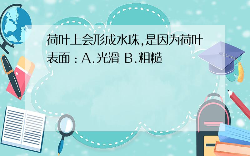 荷叶上会形成水珠,是因为荷叶表面：A.光滑 B.粗糙