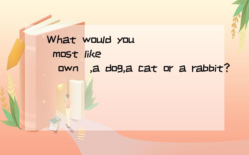 What would you most like____(own),a dog,a cat or a rabbit?