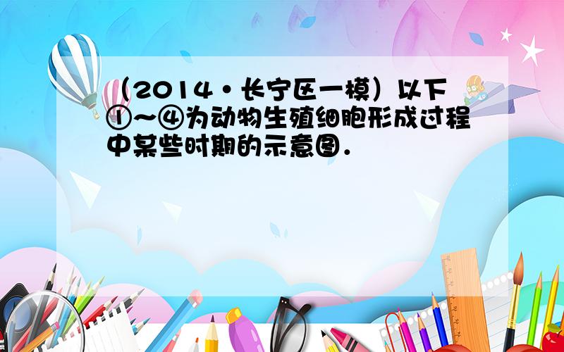 （2014•长宁区一模）以下①～④为动物生殖细胞形成过程中某些时期的示意图．