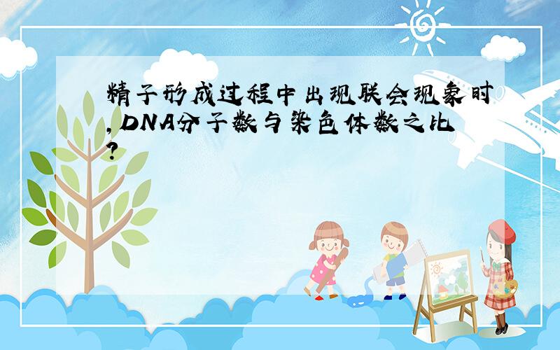 精子形成过程中出现联会现象时,DNA分子数与染色体数之比?