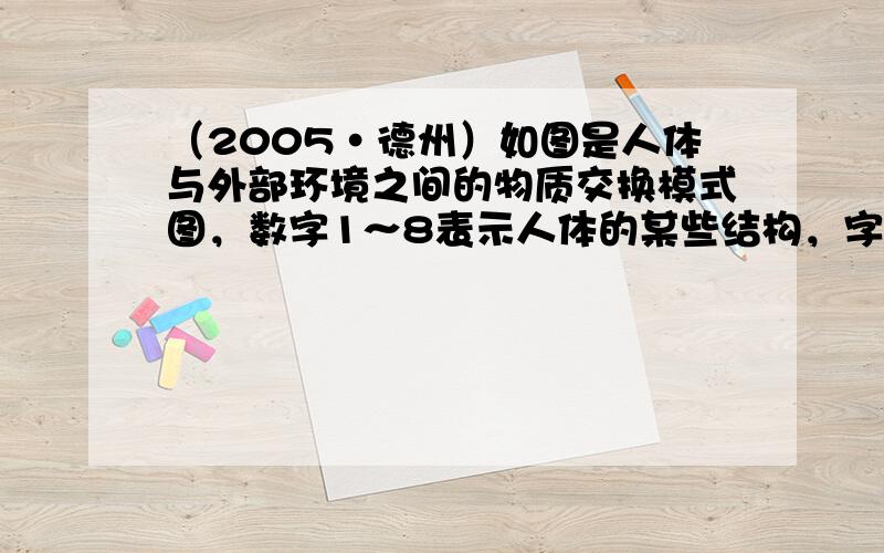 （2005•德州）如图是人体与外部环境之间的物质交换模式图，数字1～8表示人体的某些结构，字母A～F代表人体内的某些物质