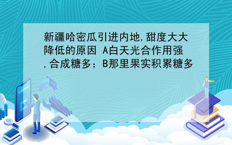 新疆哈密瓜引进内地,甜度大大降低的原因 A白天光合作用强,合成糖多；B那里果实积累糖多