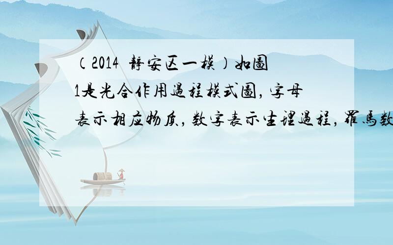 （2014•静安区一模）如图1是光合作用过程模式图，字母表示相应物质，数字表示生理过程，罗马数字表示结构部位，据图回答：