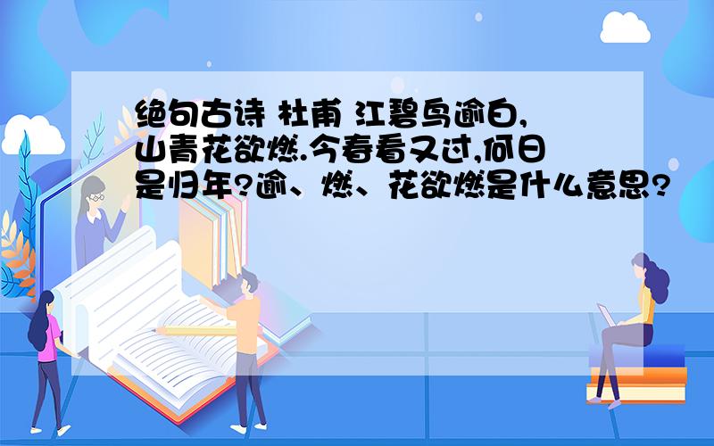 绝句古诗 杜甫 江碧鸟逾白,山青花欲燃.今春看又过,何日是归年?逾、燃、花欲燃是什么意思?