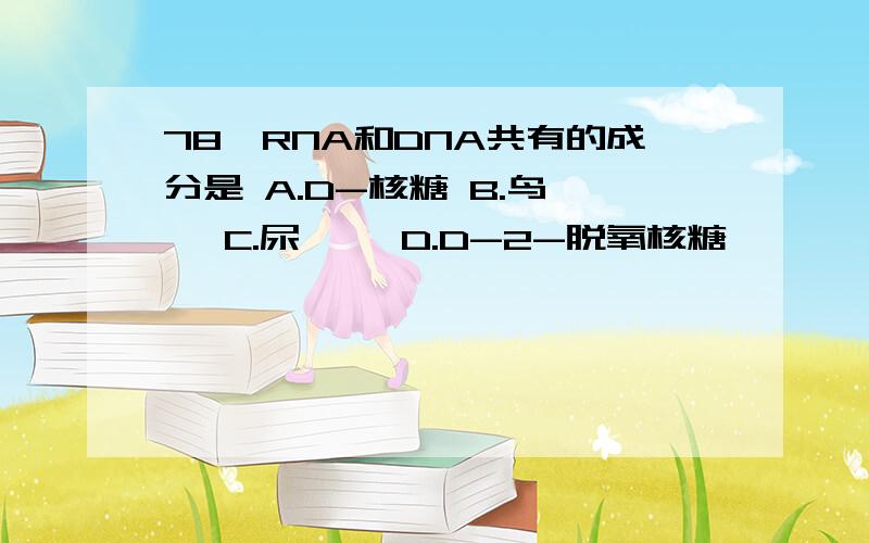 78,RNA和DNA共有的成分是 A.D-核糖 B.鸟嘌呤 C.尿嘧啶 D.D-2-脱氧核糖