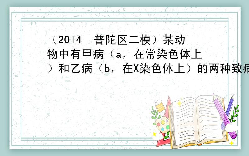 （2014•普陀区二模）某动物中有甲病（a，在常染色体上）和乙病（b，在X染色体上）的两种致病基因．在基因型为AaXBX