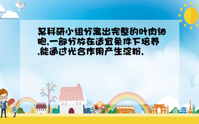 某科研小组分离出完整的叶肉细胞,一部分放在适宜条件下培养,能通过光合作用产生淀粉,