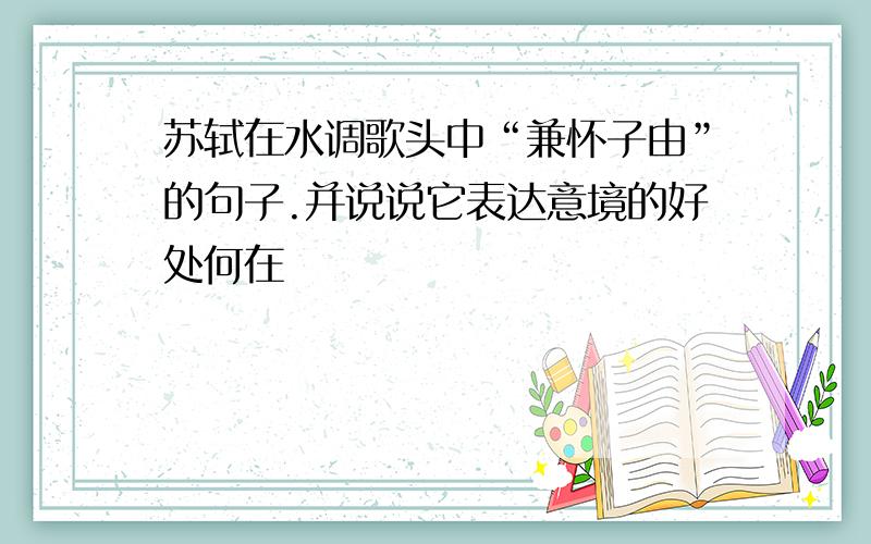 苏轼在水调歌头中“兼怀子由”的句子.并说说它表达意境的好处何在