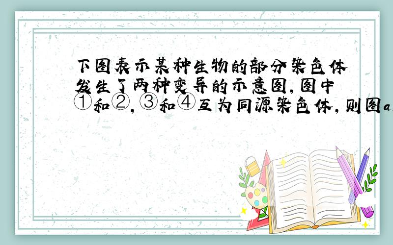 下图表示某种生物的部分染色体发生了两种变异的示意图,图中①和②,③和④互为同源染色体,则图a、图b所