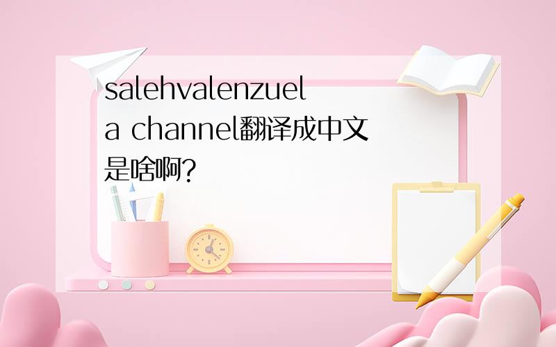 salehvalenzuela channel翻译成中文是啥啊?