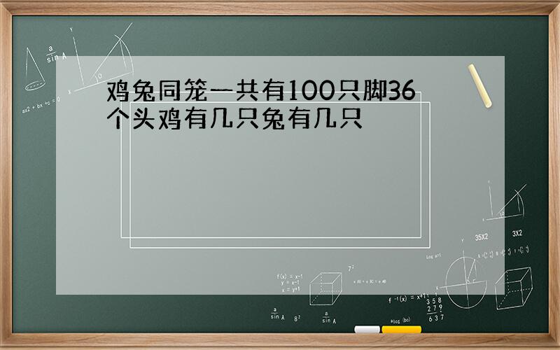 鸡兔同笼一共有100只脚36个头鸡有几只兔有几只