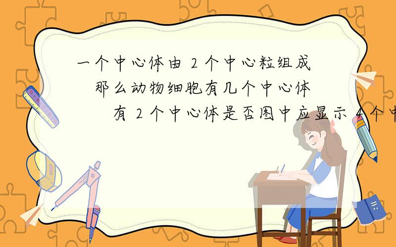 一个中心体由２个中心粒组成　　那么动物细胞有几个中心体　　　有２个中心体是否图中应显示４个中心粒