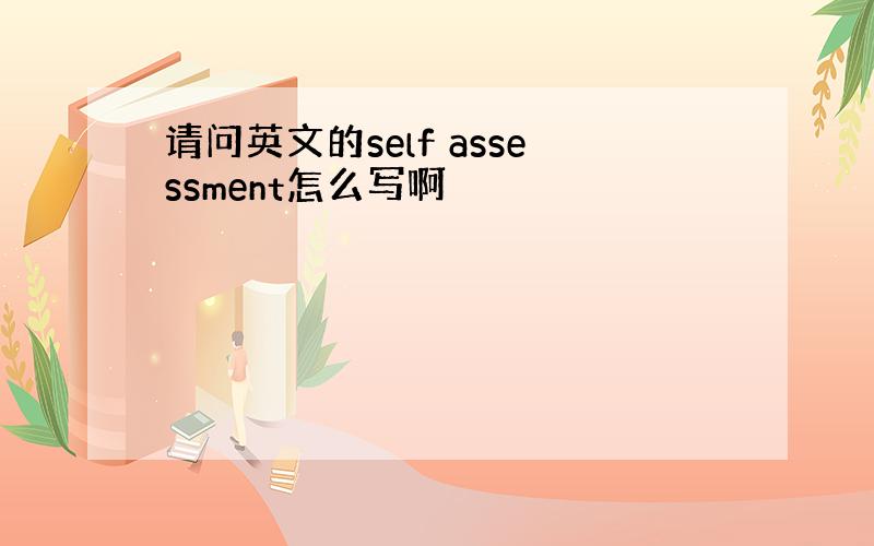 请问英文的self assessment怎么写啊