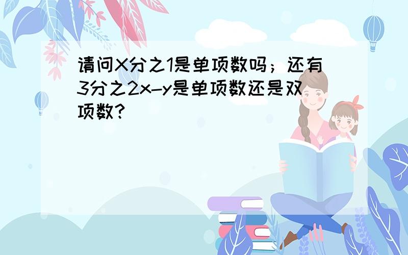 请问X分之1是单项数吗；还有3分之2x-y是单项数还是双项数?