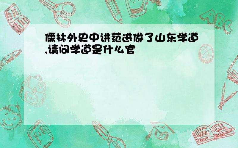 儒林外史中讲范进做了山东学道,请问学道是什么官