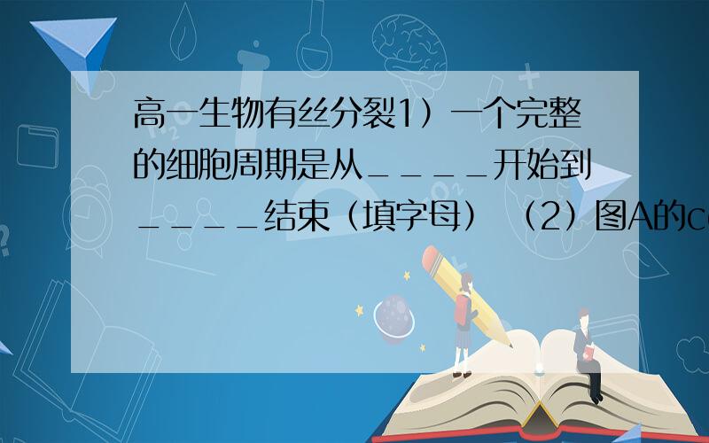 高一生物有丝分裂1）一个完整的细胞周期是从____开始到____结束（填字母） （2）图A的cd段表示细胞有丝分裂进入_