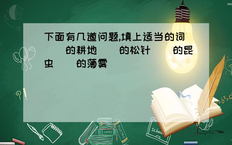 下面有几道问题,填上适当的词（）的耕地（）的松针（）的昆虫（）的薄雾