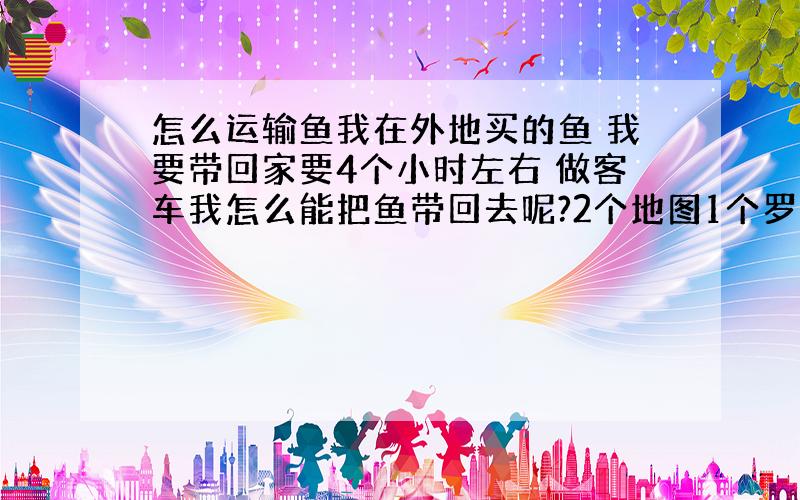 怎么运输鱼我在外地买的鱼 我要带回家要4个小时左右 做客车我怎么能把鱼带回去呢?2个地图1个罗汉1个鹦鹉2个清道夫别让我