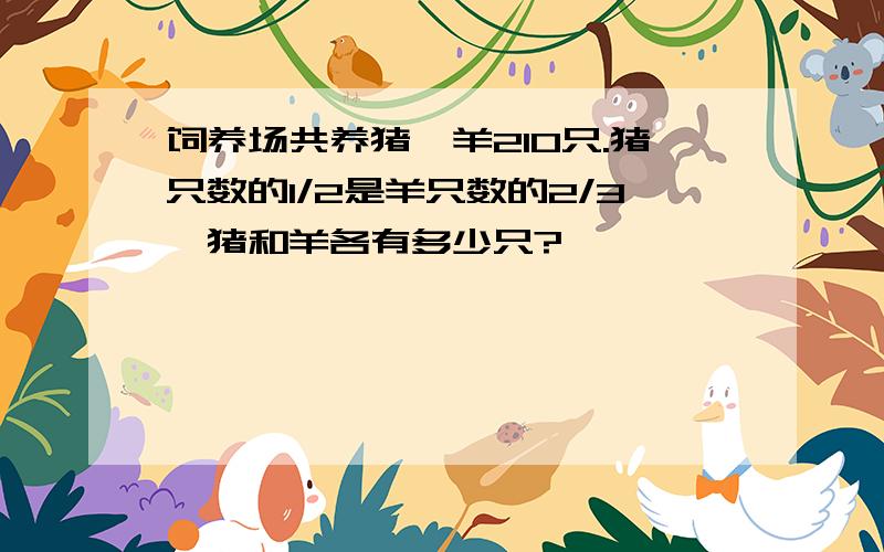 饲养场共养猪、羊210只.猪只数的1/2是羊只数的2/3,猪和羊各有多少只?