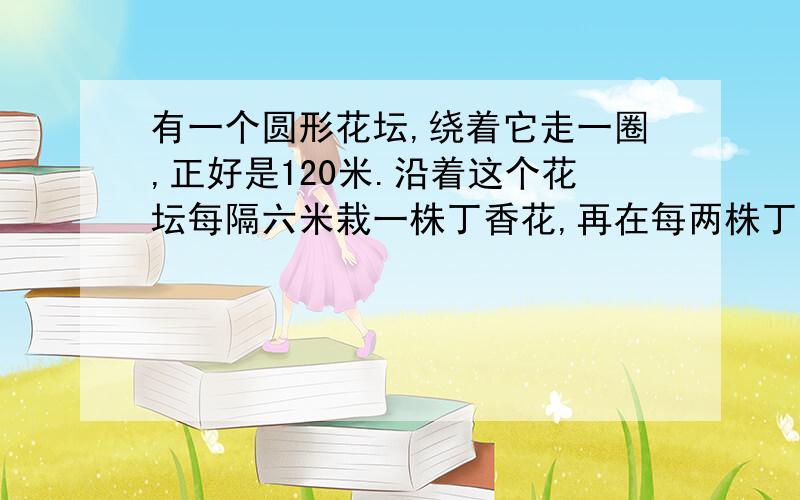 有一个圆形花坛,绕着它走一圈,正好是120米.沿着这个花坛每隔六米栽一株丁香花,再在每两株丁香花之间的距离的栽两株月季.