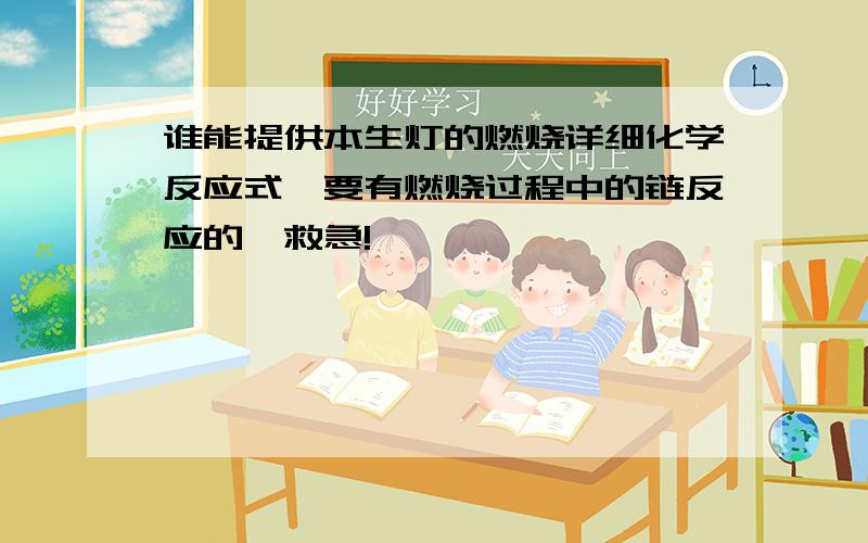 谁能提供本生灯的燃烧详细化学反应式,要有燃烧过程中的链反应的,救急!