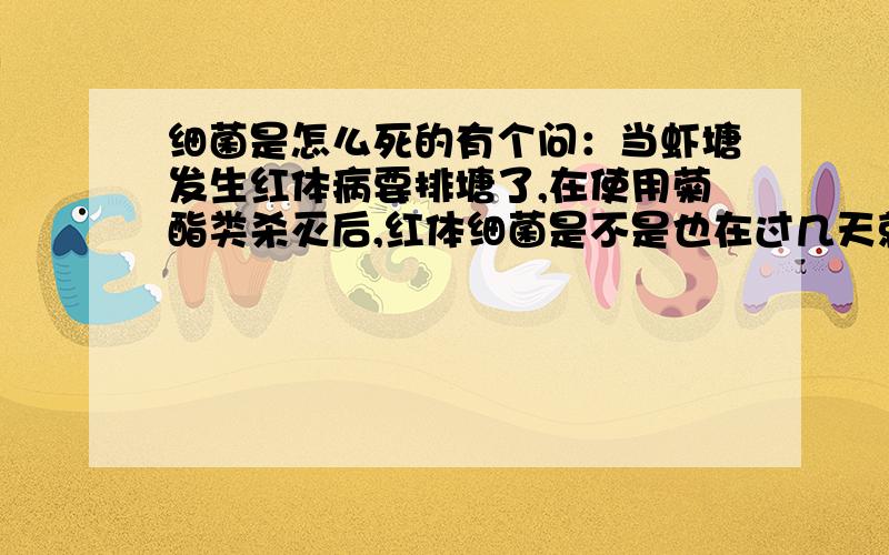 细菌是怎么死的有个问：当虾塘发生红体病要排塘了,在使用菊酯类杀灭后,红体细菌是不是也在过几天就自动灭亡呢?我见有些养殖户