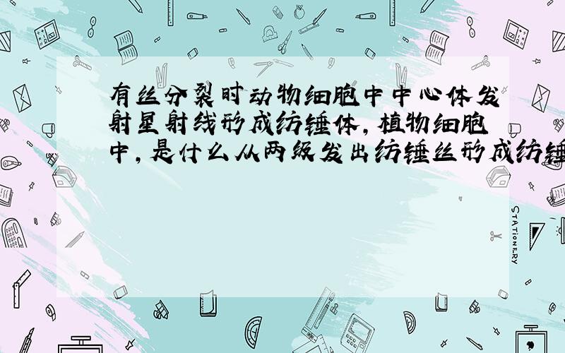 有丝分裂时动物细胞中中心体发射星射线形成纺锤体,植物细胞中,是什么从两级发出纺锤丝形成纺锤体的