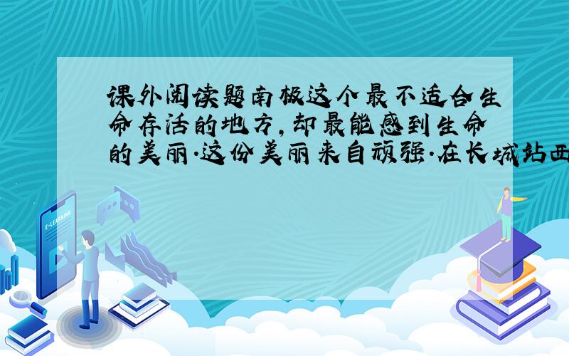 课外阅读题南极这个最不适合生命存活的地方,却最能感到生命的美丽.这份美丽来自顽强.在长城站西边的山麓中,有一个湖,也叫西